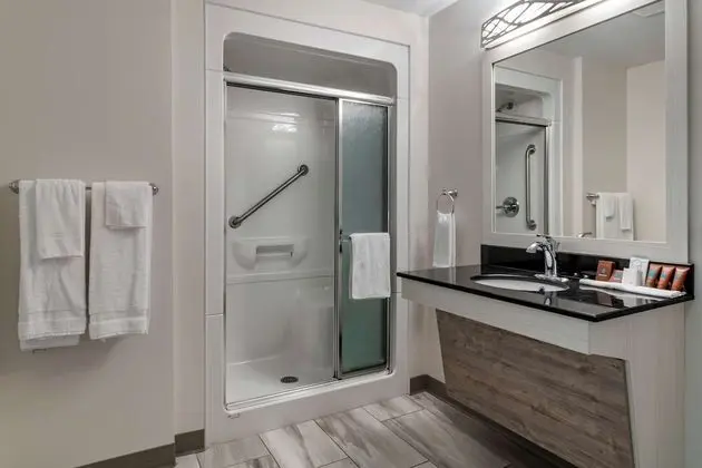 Standard Oda, 1 En Büyük (King) Boy Yatak, Engellilere Uygun, Sigara İçilmez (Walk-in Shower)