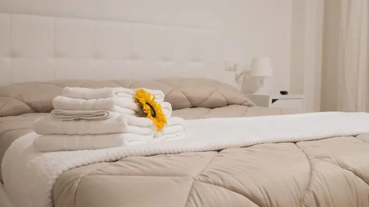 Apart Daire, 4 Yatak Odası