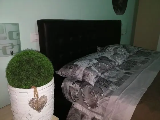 Basic Tek Büyük Yataklı Oda, Banyolu/Duşlu