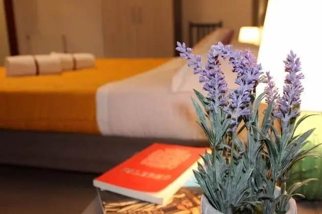 Comfort Tek Büyük Yataklı Oda, Banyolu/Duşlu (Pretoria)