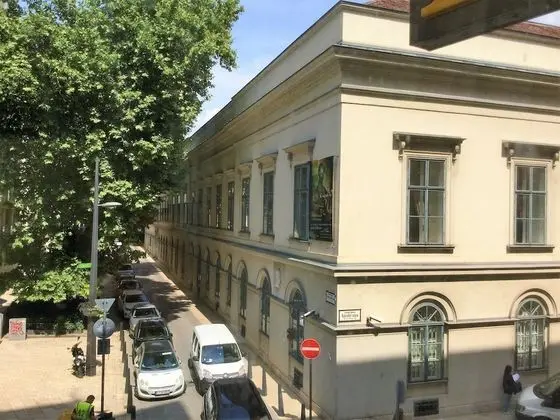 Junior Süit