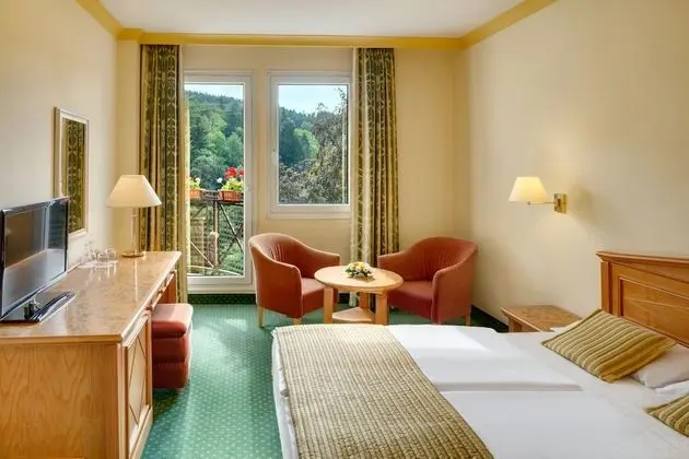 Superior Room with Wellness and Fitness Access