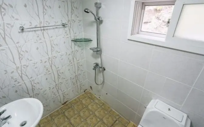 Oda (Unshared House (Unshared House))