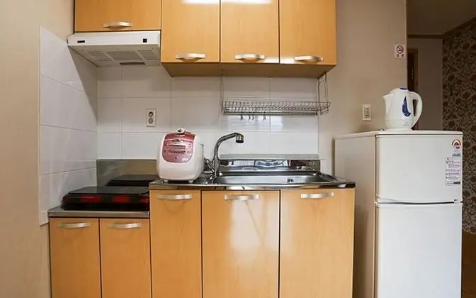 Oda (Japanese Umbrella-Pine)