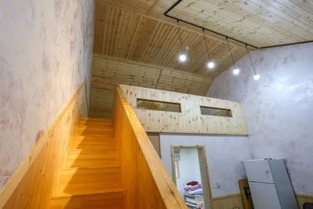 Oda (Purple (duplex))