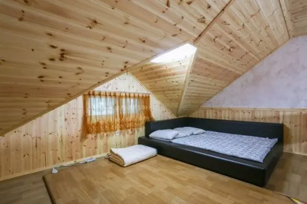 Oda (Purple (duplex))