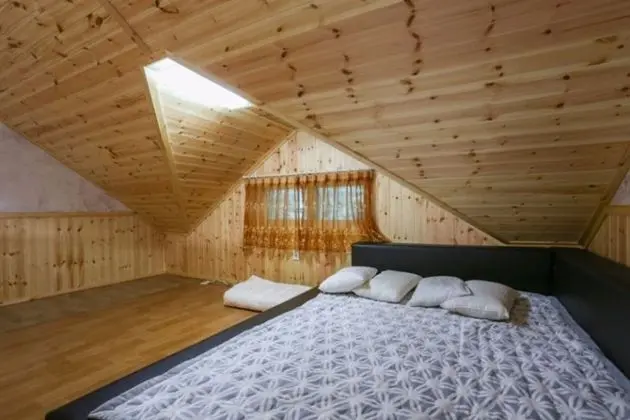 Oda (Purple (duplex))