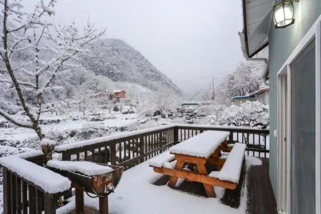 Oda (Purple (duplex))