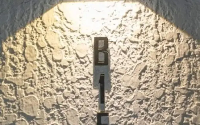 Oda (Superior B1F02)