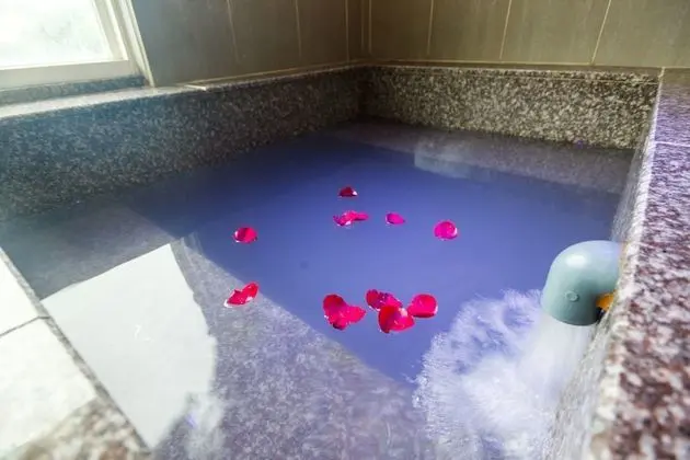 Standard Tek Büyük Yataklı Oda (With hotspring)