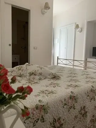 Standard Tek Büyük Yataklı Oda, Avlu Manzaralı (Magnolia)