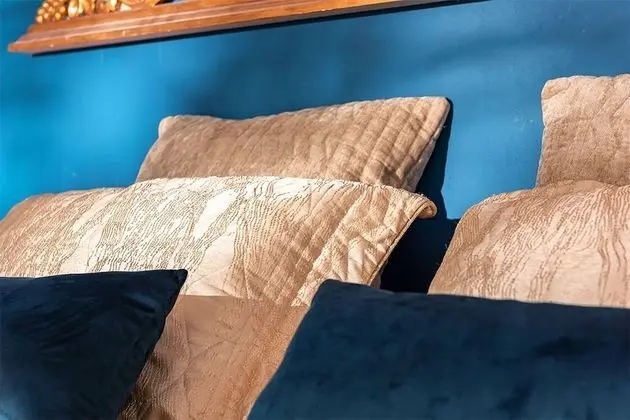 Tek Büyük Yataklı Oda, 1 En Büyük (King) Boy Yatak, Sigara İçilmez (Bleue)