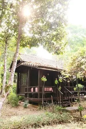 Standard Bungalov