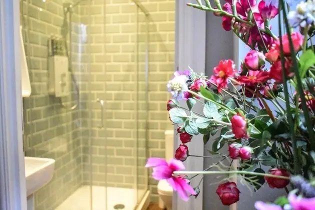 Classic Büyük Yataklı Tek Kişilik Oda, 1 Çift Kişilik Yatak