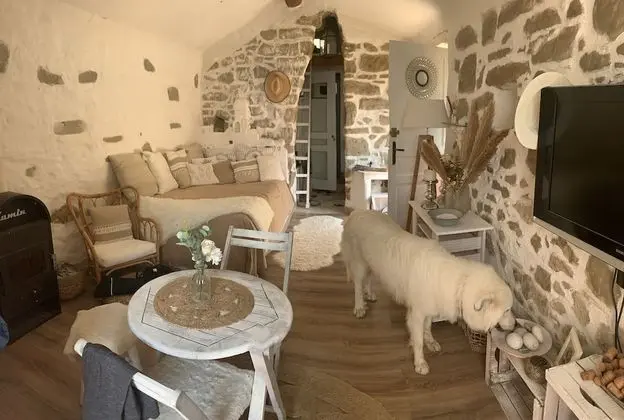 Panoramic Süit, Deniz Manzaralı