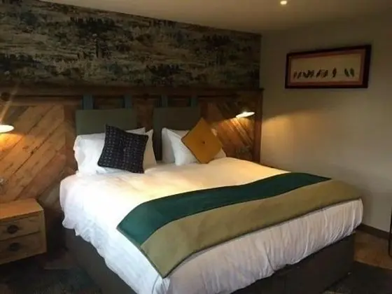 Premium Tek Büyük Yataklı Oda, Banyolu/Duşlu (Room 1)
