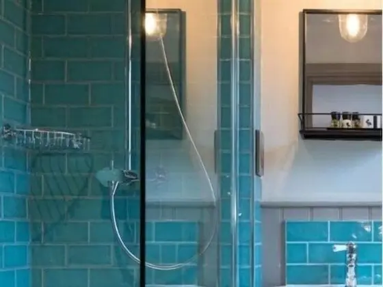 Premium Tek Büyük Yataklı Oda, Banyolu/Duşlu (Room 1)