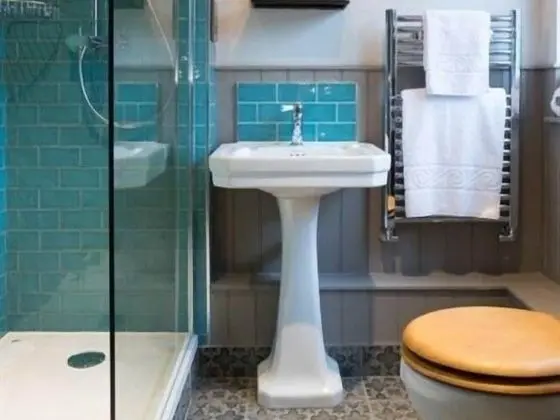 Premium Tek Büyük Yataklı Oda, Banyolu/Duşlu (room 2)