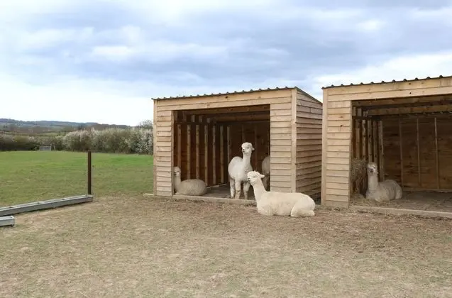 Family Kulübe, Özel Banyo, Bahçe Manzaralı (Not en suite)