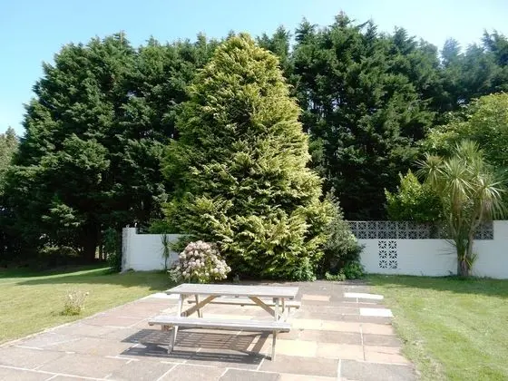 Classic Dağ Evi, Banyolu/Duşlu, Park Manzaralı (2 bedroom)