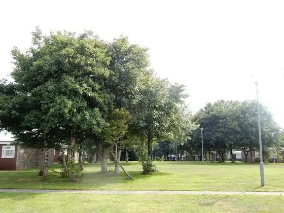 Classic Dağ Evi, Banyolu/Duşlu, Park Manzaralı (2 bedroom)