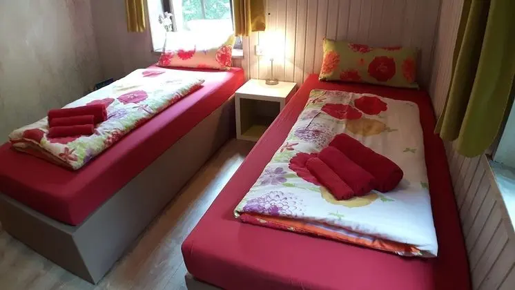 Tek Büyük veya İki Ayrı Yataklı Oda (Dschungel)