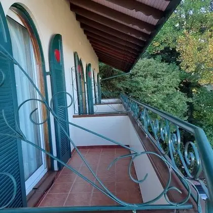 Deluxe Tek Büyük Yataklı Oda, Balkon, Bahçe Manzaralı