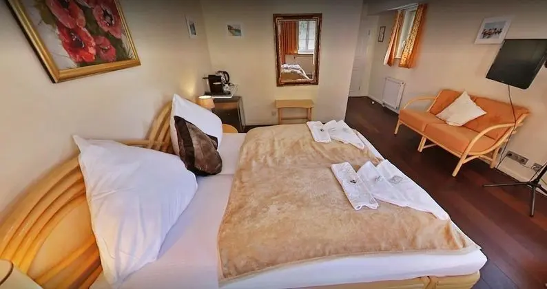 Superior Tek Büyük Yataklı Oda