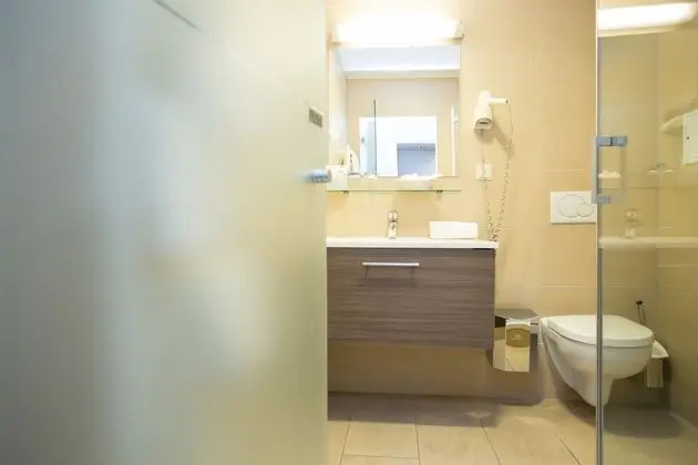 Business Tek Büyük veya İki Ayrı Yataklı Oda (air conditioning)