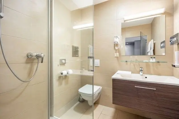 Business Tek Büyük veya İki Ayrı Yataklı Oda (air conditioning)