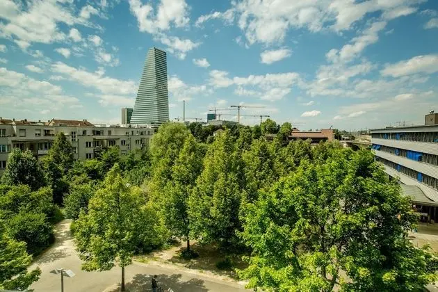 Tek Büyük Yataklı Oda (Riverside)