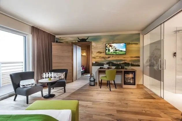 Tek Büyük Yataklı Oda (Almwiese)