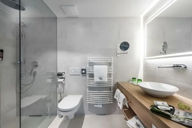 Tek Büyük Yataklı Oda (Almwiese)