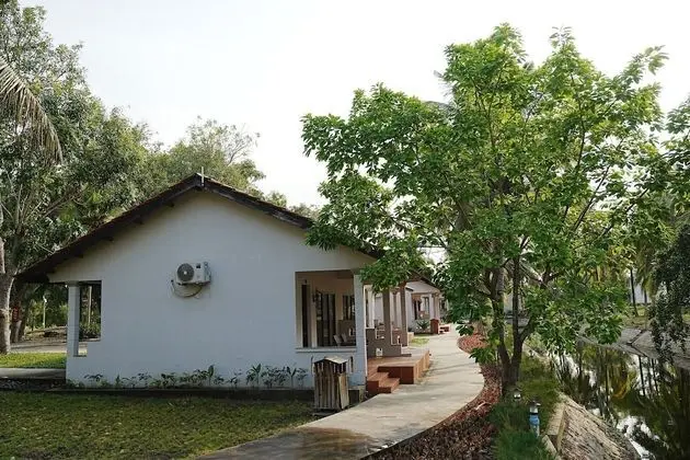 Deluxe Bungalov, Nehir Manzaralı