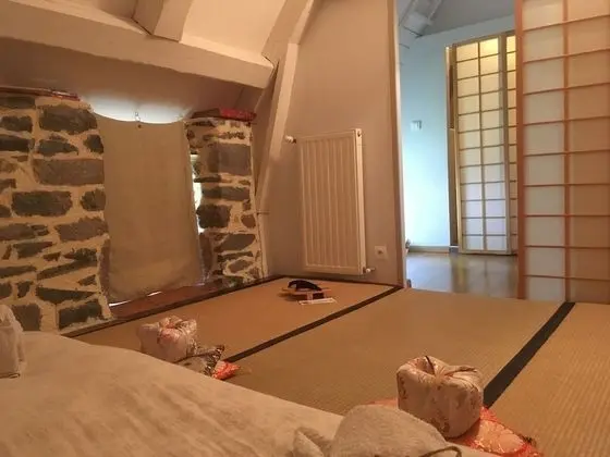 Comfort Tek Büyük Yataklı Oda, Banyolu/Duşlu, Bahçe Manzaralı (japonaise)