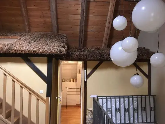 Comfort Tek Büyük Yataklı Oda, Banyolu/Duşlu, Bahçe Manzaralı (japonaise)