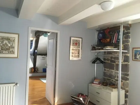 Design Tek Büyük Yataklı Oda, Banyolu/Duşlu, Bahçe Manzaralı (russe)