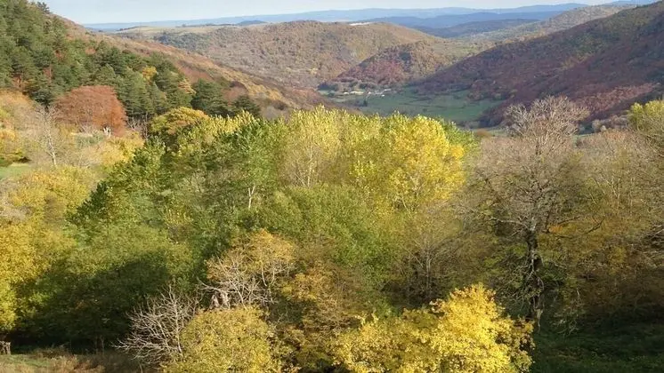 Family Süit, Banyolu/Duşlu, Dağ Manzaralı (chambre africaine)