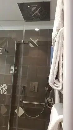 Superior Tek Büyük veya İki Ayrı Yataklı Oda, Balkon
