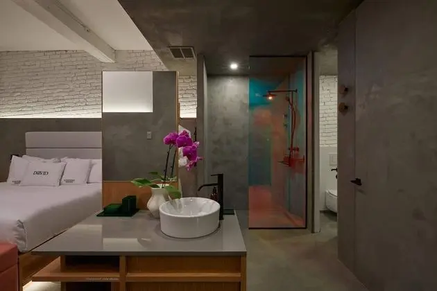 Premium Çatı Katı (Loft) (22 - Premium Loft)