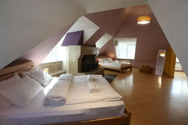 Family Çatı Katı (Loft), 2 Yatak Odası, Şehir Manzaralı, Executive Katı