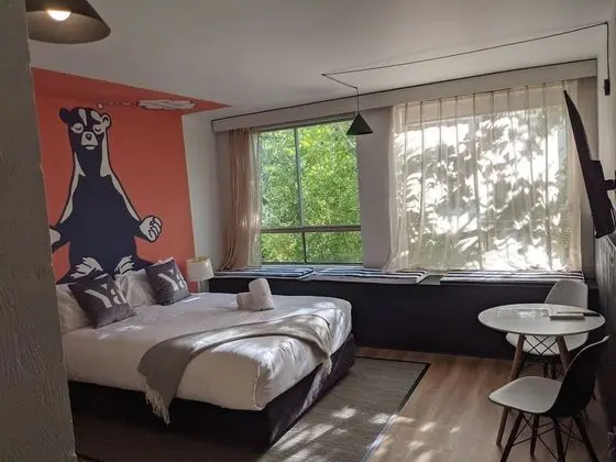 Pet Friendly Studio