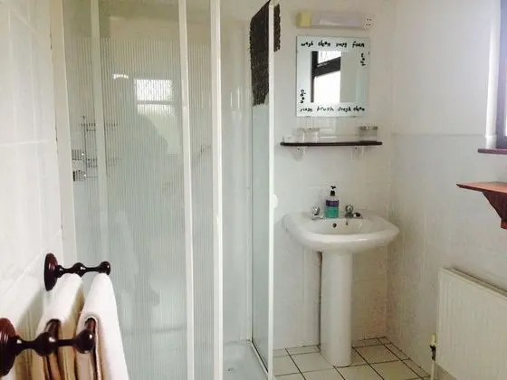 Classic Tek Büyük Yataklı Oda, Banyolu/Duşlu (Shower)