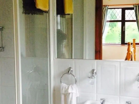 Classic Tek Büyük Yataklı Oda, Banyolu/Duşlu (Shower)