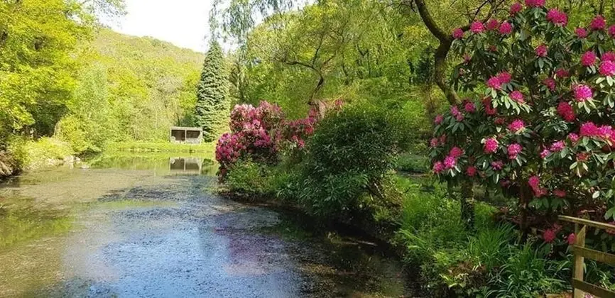 Kır Evi, Birden Çok Yatak