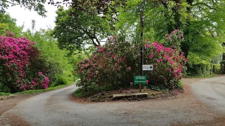 Kır Evi, Birden Çok Yatak