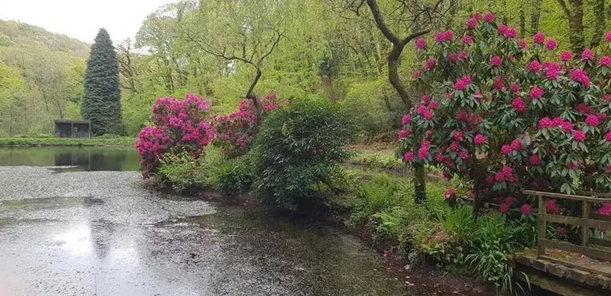 Kır Evi, Birden Çok Yatak