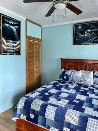 Comfort Apart Daire, 1 Büyük (Queen) Boy Yatak ve Çekyat