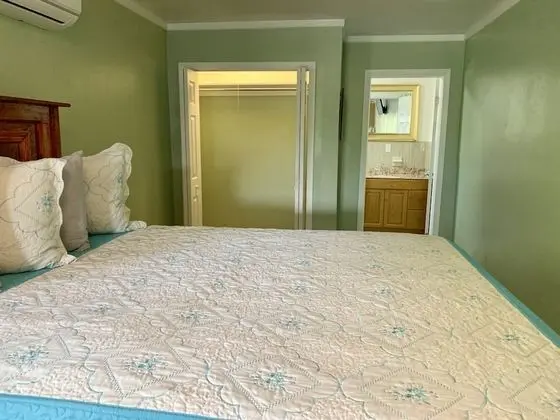 Premium Apart Daire, 1 Büyük (Queen) Boy Yatak ve Çekyat