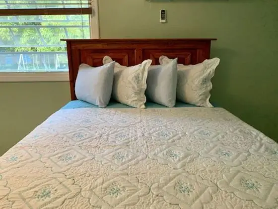 Premium Apart Daire, 1 Büyük (Queen) Boy Yatak ve Çekyat